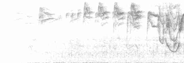  - Chestnut-crowned Sparrow-Weaver