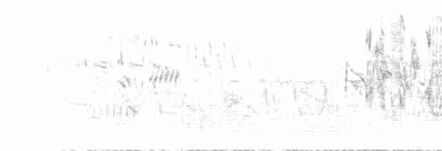 Чечевичник малиновокрилий (підвид sanguineus) - ML552540931