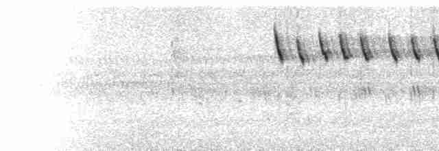  - Gray-headed Oliveback