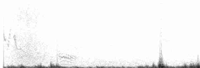 Pin-tailed Sandgrouse - ML552630911