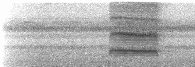 Серохохлая чубатка - ML552682141