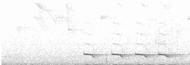 Trogon rosalba - ML552756071