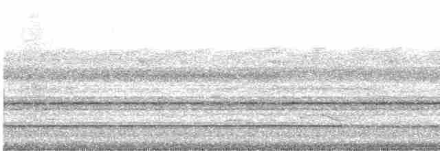 Thicket Tinamou - ML552847911