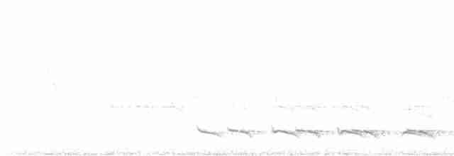 Trogon rosalba - ML552870471