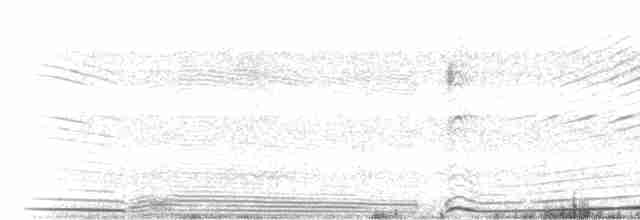 Wedge-tailed Shearwater - ML552913301