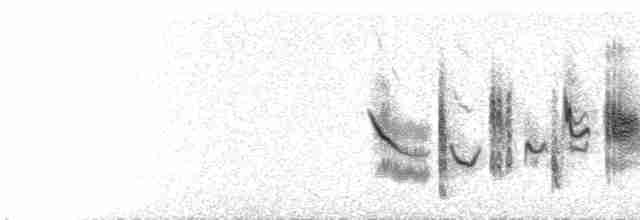  - Northern Wheatear (Greenland)