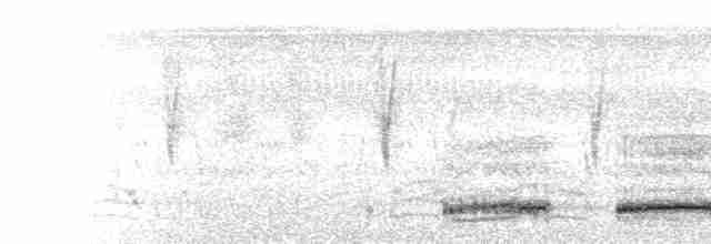  - Swainson's Spurfowl