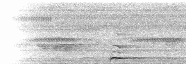  - Yellow-billed Turaco (Yellow-billed)