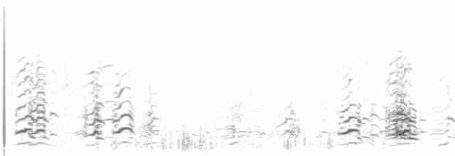 Малая канадская казарка (leucopareia) - ML553130531