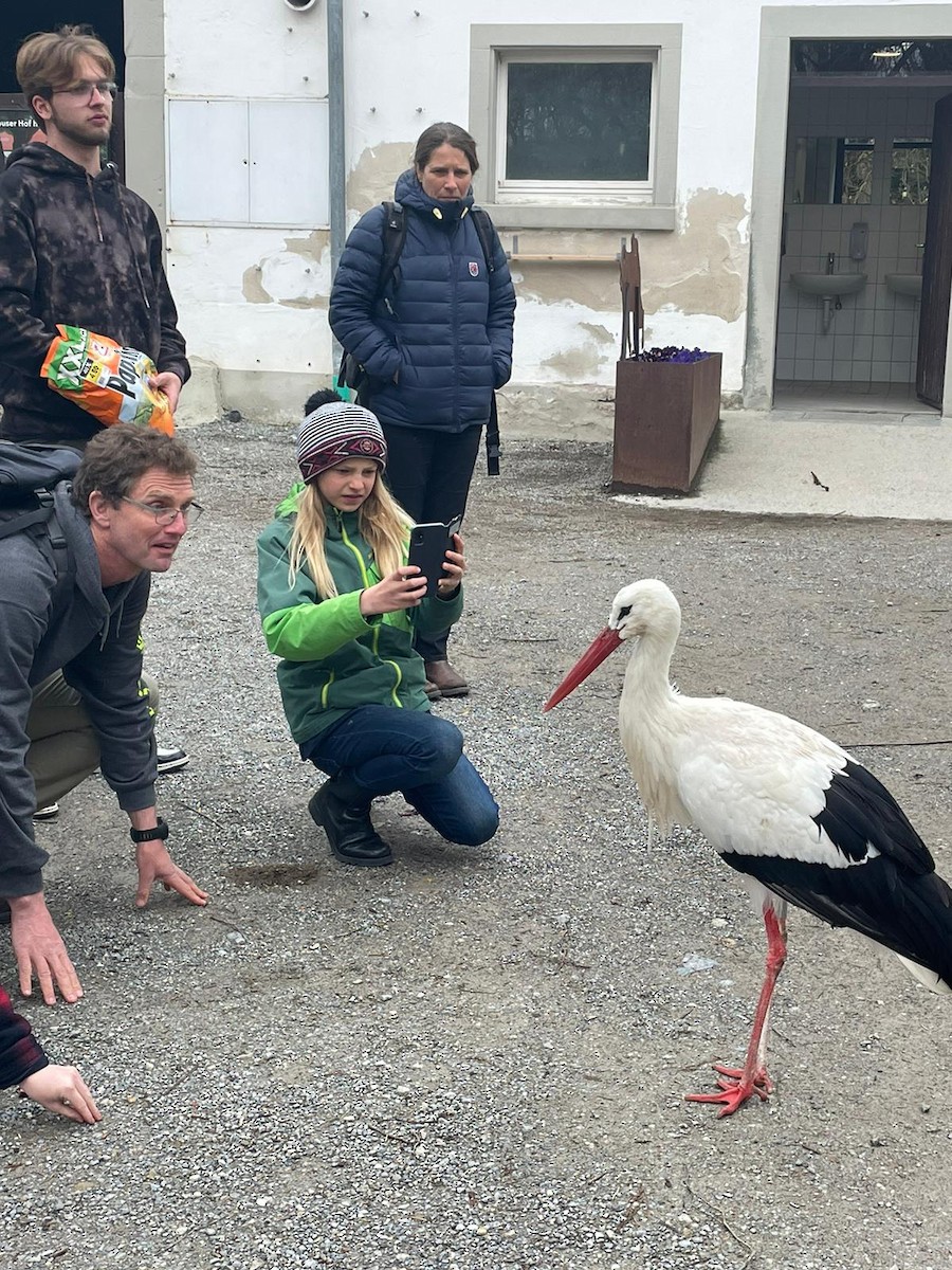 White Stork - Christian Rixen