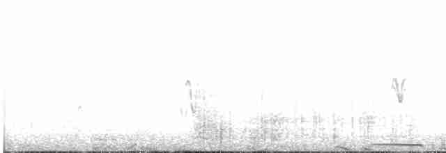 Büyük Yerkoşarı - ML553173201