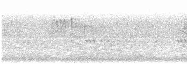 Weißscheitel-Kleintyrann (subcristata/straminea) - ML553207611