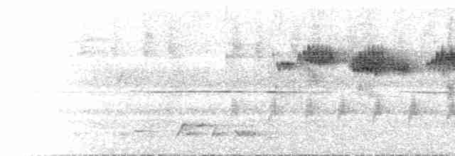  - Mountain Robin-Chat (Highland)