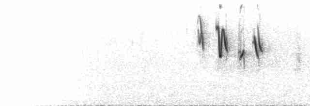  - Yellow-throated Serin