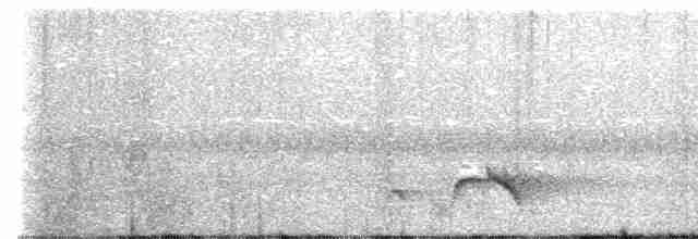 Black-headed Shrike-Babbler - ML553338101