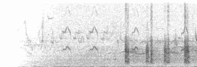  - Great Crested Grebe