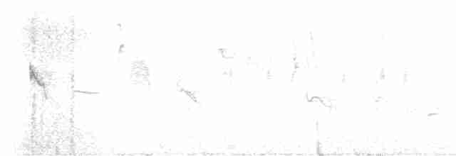 rorýs hnědohrdlý - ML553386121