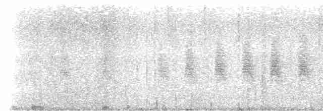 Grass Wren (Paramo) - ML553393061