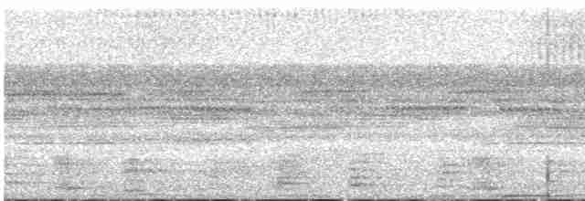 Paují Nocturno - ML553401271