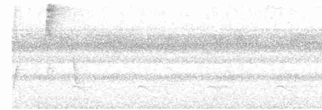 Серохохлая чубатка - ML553404511