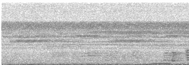 Paují Nocturno - ML553407231