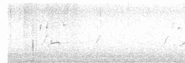 Iberian Gray Shrike - ML553432661