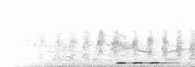  - Eurasian Hoopoe (Eurasian)