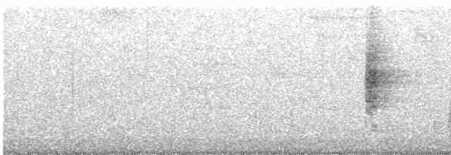 White-eyed Vireo - ML553463111
