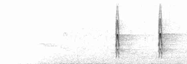  - Great Spotted Woodpecker (Great Spotted)