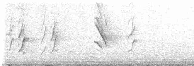 Cave Swallow (Caribbean) - ML553481201