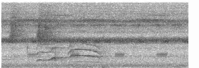 Pic ondé (groupe grammicus) - ML553488421