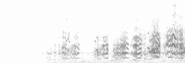  - Scaly-naped Amazon