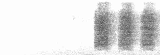  - Eurasian Jay (Eurasian)