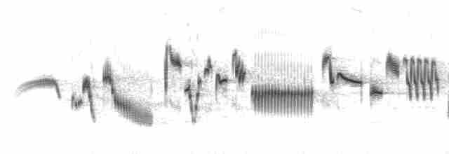  - Eurasian Skylark (European)