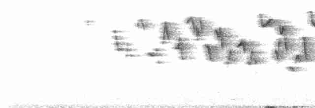 Troglodyte de Baird - ML553679211