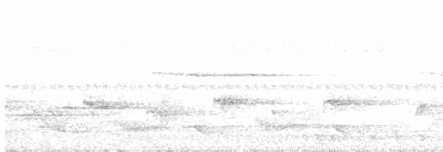 Spot-necked Babbler - ML553775231
