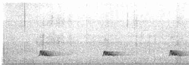 Tinamou à tête rousse - ML553805541
