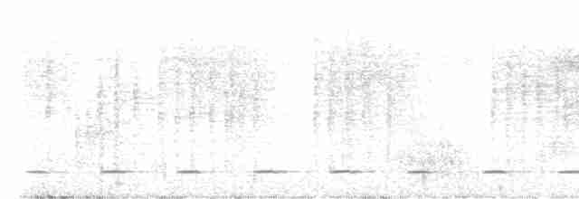 Сичик-горобець андійський - ML553809181