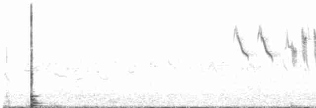 Gray Wagtail - ML553834631