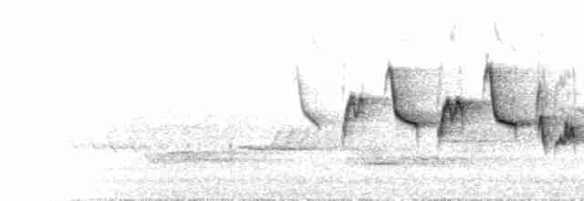  - European Pied Flycatcher