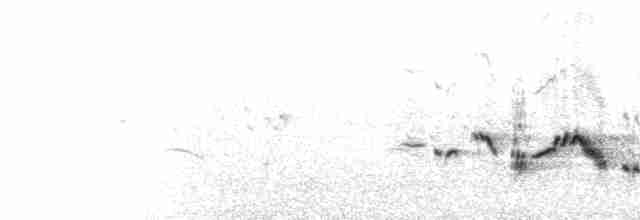  - Blue Rock-Thrush (solitarius/longirostris)