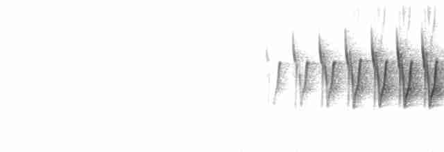  - Common Chaffinch (Common)