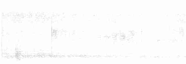 Western Yellow Wagtail (iberiae) - ML553933511