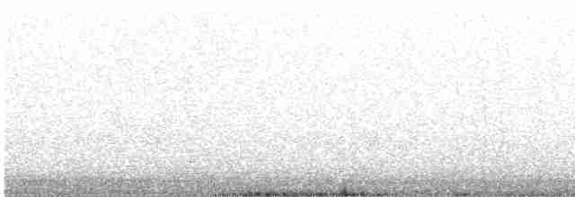 sitronbuskvarsler (zeylonus gr.) - ML554056411