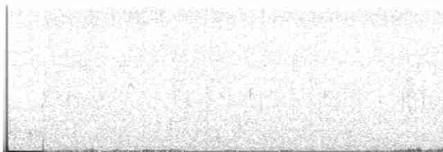 strakapoud bělohřbetý - ML554090721
