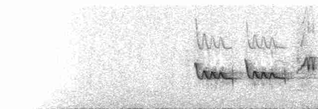  - Luzon Island-Thrush