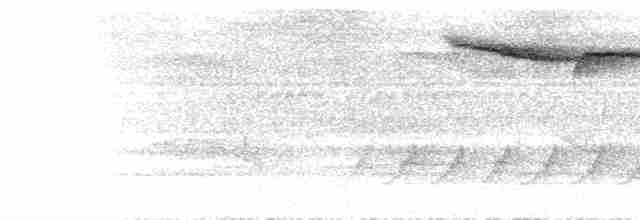  - Rufous-throated Flycatcher