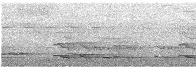 Toucan tocard (ambiguus/abbreviatus) - ML554154501