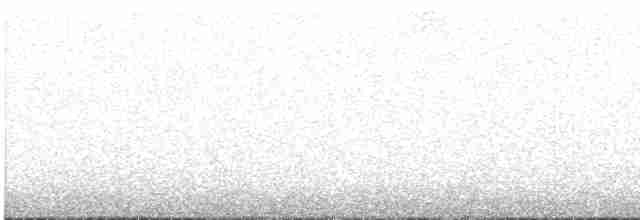 Кукушечья иглоногая сова - ML554303401