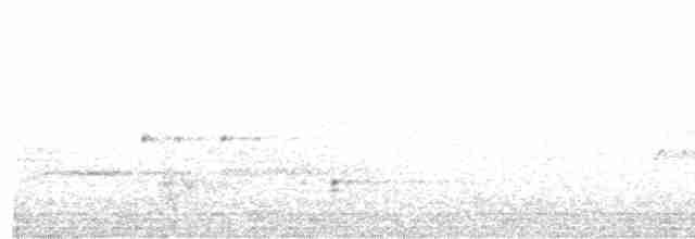 Белоголовый орлан - ML554408671